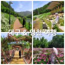영천 자천리 오리장림 | 5월 여행 : 여행일 2024년 5월 12일 : 대구 &amp; 영천
