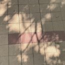 더준한의원 이미지