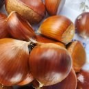 코코농원 이미지