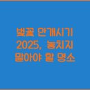 만개 이미지