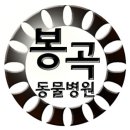 마음사랑 동물병원 이미지