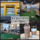 도그빌리지