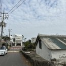 카프리애월민박 | 제주도 애월 게스트하우스 카프리애월 파티 후기 🏡