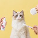 (주)온힐 이미지