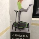 지안스필유아파트 | 진천 점핑하이 (다이어트 추천) 한달 후기