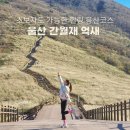 울산 간월산 간월재 등산코스 | 억새명소 만개 절정 초보자도 가능한 간월재휴게소 주차팁