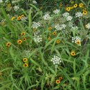 임실농장 이미지