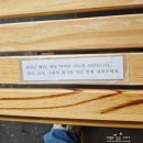 더리트리브 | 제주 서귀포 애견동반 카페 더리트리브