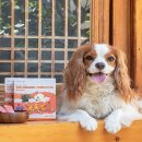 주식회사 랩케어 이미지