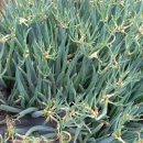 삼동농장 이미지