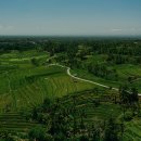 일출환경 이미지