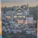 황금테고리