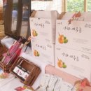 감자븐파머