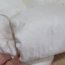 엘림세탁소 | 광고X) 진주 충무공동 무료수거,배달 엘림세탁소! 저렴한데다가 완벽한 드라이크리닝.