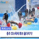 충주호수로 이미지