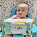 비아르떼 이미지