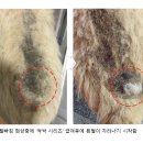 싹싹이네