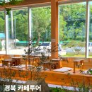117 | 경북 의성 카페 여행 가볼만한곳 추천 3곳