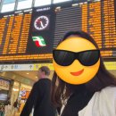 2025 추억의 명화 5월 어거스트러쉬 | 2025 5월-이탈리아 여행 피렌체/로마 Day 2 - 로마-피렌체-우피치 미술관 투어-오스트리아 파스텔라...
