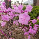 향남2지구 체육공원 이미지