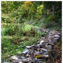 만인산자연휴양림 이미지