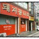 돼지꿈나라 이미지