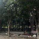 (주)포유푸드, 동방지점 | 여행가고싶다... 2025년 12월 상하이 여행 (완결)