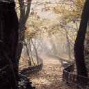 경남함양이은349 이미지