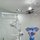 호호치과의원 이미지