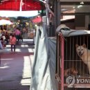 구포시장1 이미지