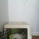 호텔엘린 이미지