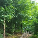 새롬꿈어린이집옆 이미지