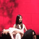 자유-희망 이미지