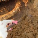 구암동477 이미지