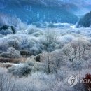 인제지역아동센터 이미지