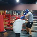 MS복싱아카데미 이미지