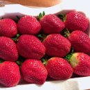 삼송마을 이미지