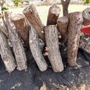 승주농장 이미지