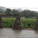 천탑마을 이미지