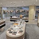 아프리카안경 이미지