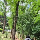 오봉오거리 이미지