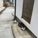 남자친구 진급 여행 🌿 | 고흥 아로새기다 | 잔잔하게 | 프라이빗숙소 |