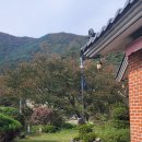 배내피트 이미지