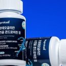 뉴프로셀 네이버블로그