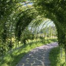 금남체육공원 이미지