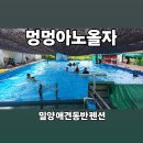 멍멍아 | 밀양 애견동반 펜션 추천🐶｜사람·강아지 수영장 모두 있는 ‘멍멍아노올자’ 리얼 후기!