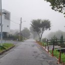 솔밭공원 이미지