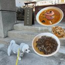 묵호식당맛집 | 동해 묵호 맛집 수희 강아지랑 갈 수 있는 묵호애견동반식당 후기