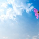 갯골생태공원 이미지