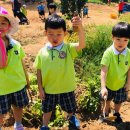 해맑음농장 이미지